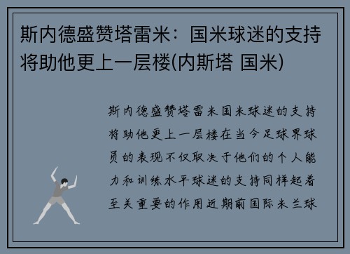 斯内德盛赞塔雷米：国米球迷的支持将助他更上一层楼(内斯塔 国米)