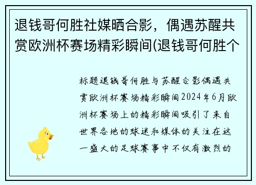 退钱哥何胜社媒晒合影，偶遇苏醒共赏欧洲杯赛场精彩瞬间(退钱哥何胜个人简介)