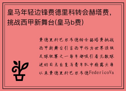 皇马年轻边锋费德里科转会赫塔费，挑战西甲新舞台(皇马b费)